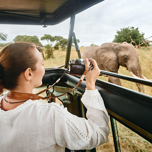 3 Days Fly-in Safari To Serengeti National Park